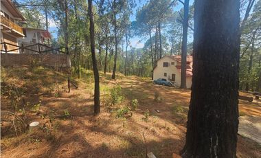 Terreno céntrico en el bosque de mazamitla