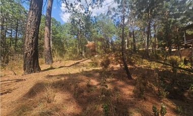 Terreno céntrico en el bosque de mazamitla