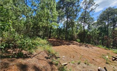 Terreno céntrico en el bosque de mazamitla
