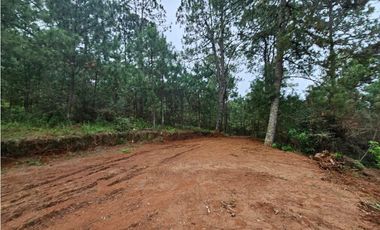 Terreno céntrico en el bosque de mazamitla