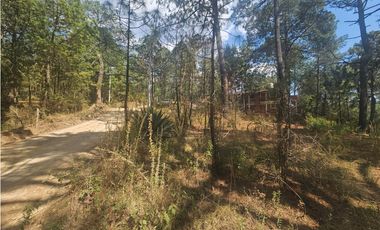 Terreno céntrico en el bosque de mazamitla
