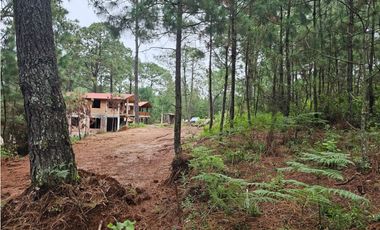 Terreno céntrico en el bosque de mazamitla