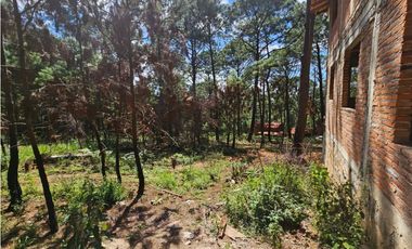 Terreno céntrico en el bosque de mazamitla
