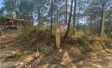 Terreno céntrico en el bosque de mazamitla
