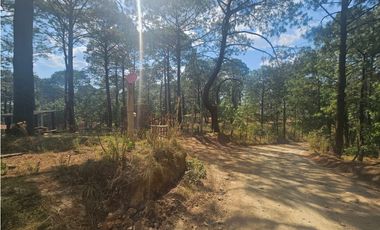 Terreno céntrico en el bosque de mazamitla
