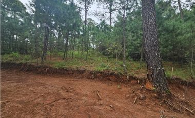 Terreno céntrico en el bosque de mazamitla