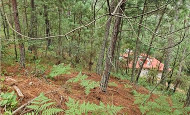 Terreno céntrico en el bosque de mazamitla