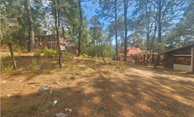Terreno céntrico en el bosque de mazamitla