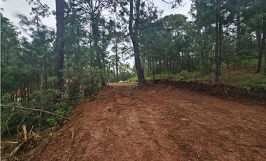 Terreno céntrico en el bosque de mazamitla