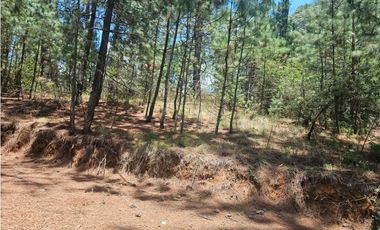 Hermoso Terreno en el Bosque de Mazamitla, Jalisco