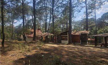 Hermoso Terreno en el Bosque de Mazamitla, Jalisco