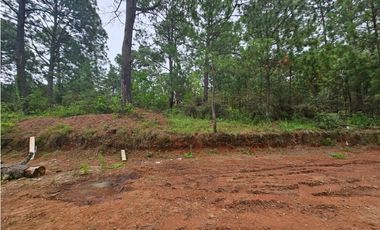 Hermoso Terreno en el Bosque de Mazamitla, Jalisco