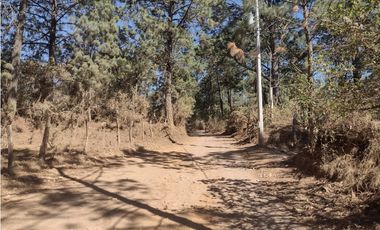 Hermoso Terreno en el Bosque de Mazamitla, Jalisco