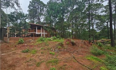 Hermoso Terreno en el Bosque de Mazamitla, Jalisco