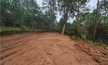 Hermoso Terreno en el Bosque de Mazamitla, Jalisco