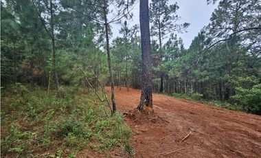 Hermoso Terreno en el Bosque de Mazamitla, Jalisco