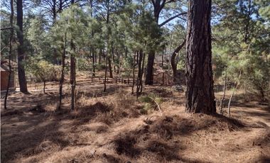 Hermoso Terreno en el Bosque de Mazamitla, Jalisco