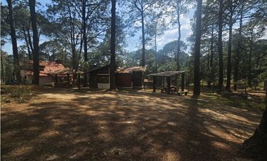Hermoso Terreno en el Bosque de Mazamitla, Jalisco