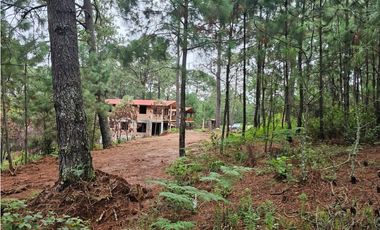 Hermoso Terreno en el Bosque de Mazamitla, Jalisco