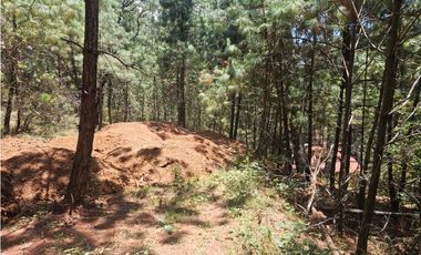 Hermoso Terreno en el Bosque de Mazamitla, Jalisco