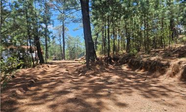 Hermoso Terreno en el Bosque de Mazamitla, Jalisco