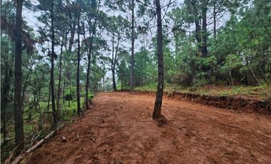 Hermoso Terreno en el Bosque de Mazamitla, Jalisco