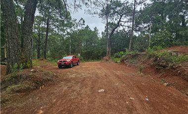 Hermoso Terreno en el Bosque de Mazamitla, Jalisco