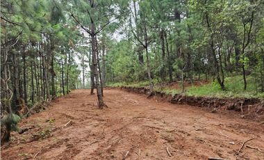 Hermoso Terreno en el Bosque de Mazamitla, Jalisco