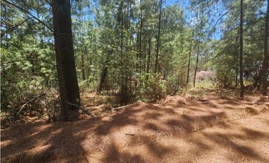 Hermoso Terreno en el Bosque de Mazamitla, Jalisco
