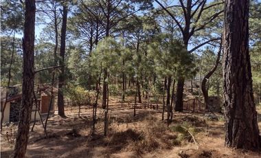 Hermoso Terreno en el Bosque de Mazamitla, Jalisco