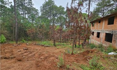 Hermoso Terreno en el Bosque de Mazamitla, Jalisco