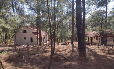 Hermoso Terreno en el Bosque de Mazamitla, Jalisco