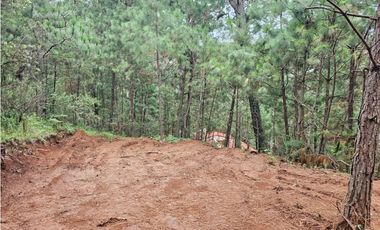 Hermoso Terreno en el Bosque de Mazamitla, Jalisco