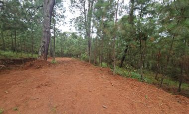 Hermoso Terreno en el Bosque de Mazamitla, Jalisco