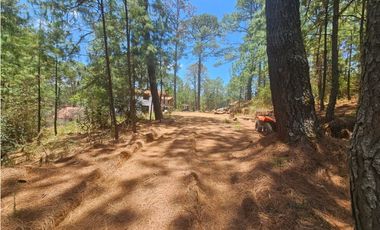 Hermoso Terreno en el Bosque de Mazamitla, Jalisco