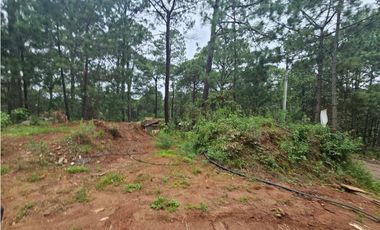 Hermoso Terreno en el Bosque de Mazamitla, Jalisco
