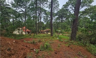 Hermoso Terreno en el Bosque de Mazamitla, Jalisco
