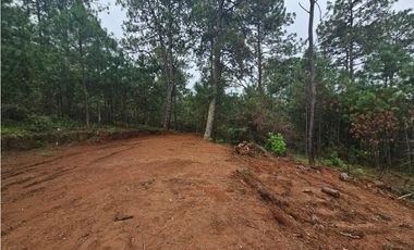 Hermoso Terreno en el Bosque de Mazamitla, Jalisco