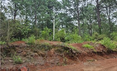 Hermoso Terreno en el Bosque de Mazamitla, Jalisco