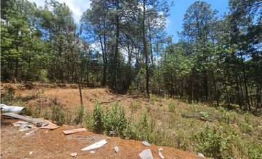 Bonita cabaña para remodelación enmazamitla, Jalisco