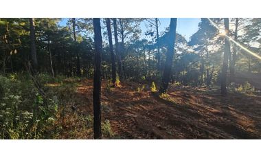 Bonita cabaña para remodelación enmazamitla, Jalisco