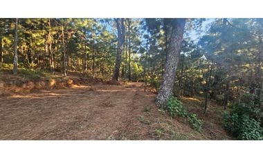 Bonita cabaña para remodelación enmazamitla, Jalisco