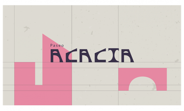 Local de 61 M en Plaza Paseo Acacia  Juárez Chih.