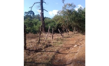 Bonito terreno céntrico en zona de bosque de Mazamitla, Jalisco