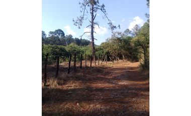 Bonito terreno céntrico en zona de bosque de Mazamitla, Jalisco