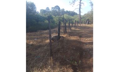Bonito terreno céntrico en zona de bosque de Mazamitla, Jalisco