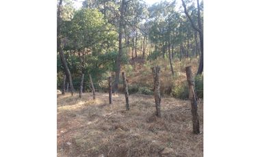 Bonito terreno céntrico en zona de bosque de Mazamitla, Jalisco
