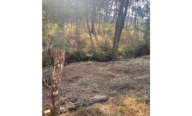 Bonito terreno céntrico en zona de bosque de Mazamitla, Jalisco