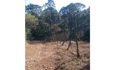 Bonito terreno céntrico en zona de bosque de Mazamitla, Jalisco