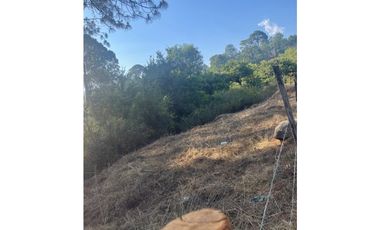Bonito terreno céntrico en zona de bosque de Mazamitla, Jalisco